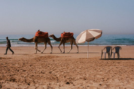  Fabian Schmidt - photographer based in Hamburg, Germany